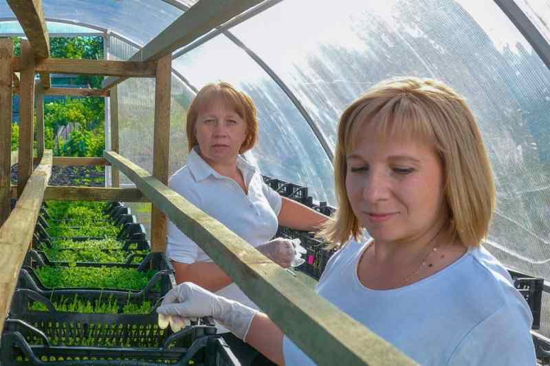 Las mujeres lideran la economía verde en Ucrania 