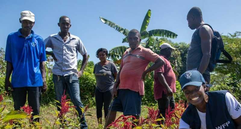 Agricultores haitianos afectados por el cambio climático