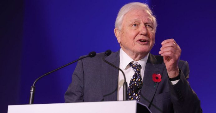 David Attenborough recibe máximo galardón ambiental de la ONU