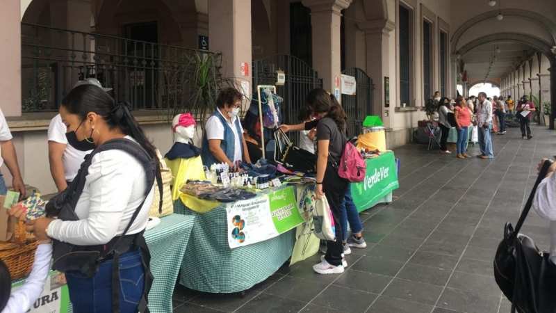 Vuelve la Iniciativa Ecológica VerdeVer a Xalapa