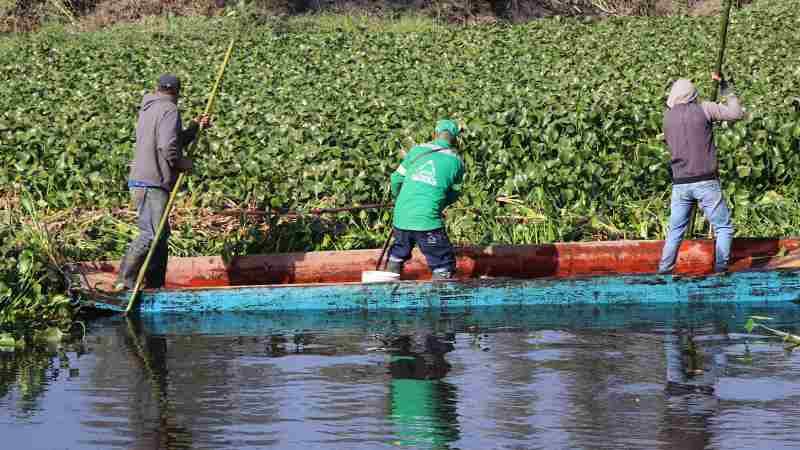 Se recuperan áreas verdes y ríos en la CDMX: SEDEMA