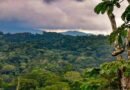 Autoridades federales y locales impulsan conservación en los Chimalapas