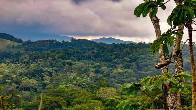 Autoridades federales y locales impulsan conservación en los Chimalapas