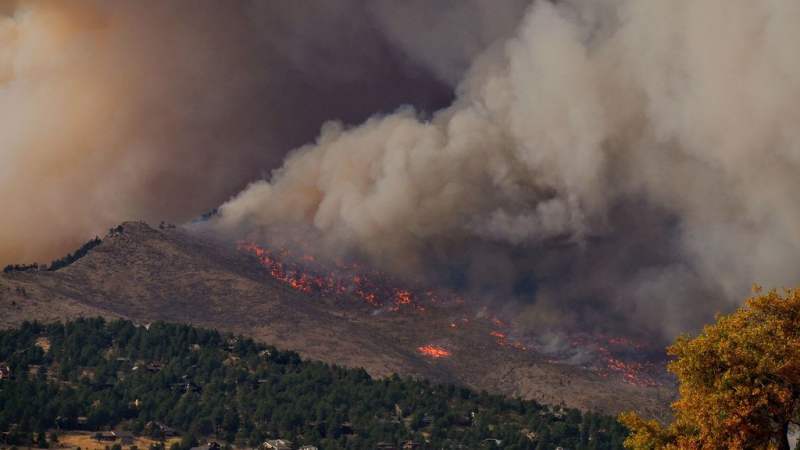 Adaptar los bosques frente a los incendios forestales