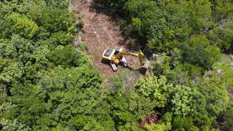 Tráfico de especies silvestres y fragmentación de ecosistemas, dos factores que han contribuido a pérdida de biodiversidad en México