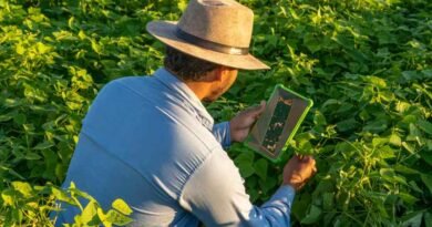 Lanzan plataforma digital para detectar parásitos en cultivos