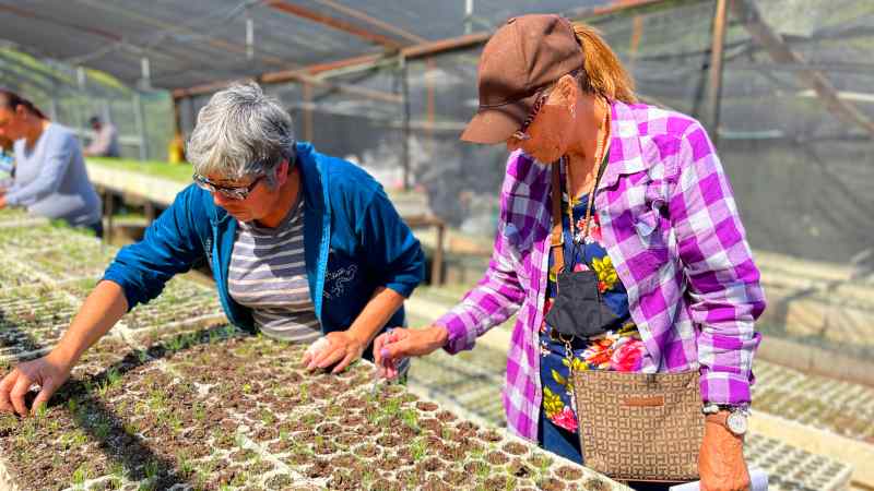 Forest of Hope, documental de mujeres mexicanas que luchan por salvar su bosque