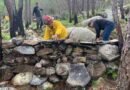 Restauran suelos para prevención de incendios forestales en Jalisco