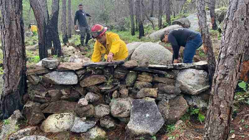 Restauran suelos para prevención de incendios forestales en Jalisco