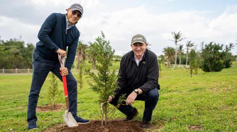Con reforestación celebra Bacardí 161 años de vida