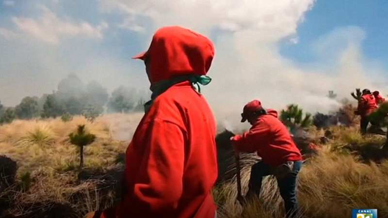 Mujeres de fuego, las brigadistas forestales de la CDMX