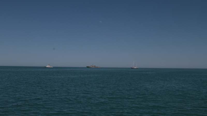 Inicia Crucero de Observación Vaquita Marina 2023