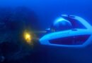 Descubren arrecifes de alto valor ambiental en el Golfo de México