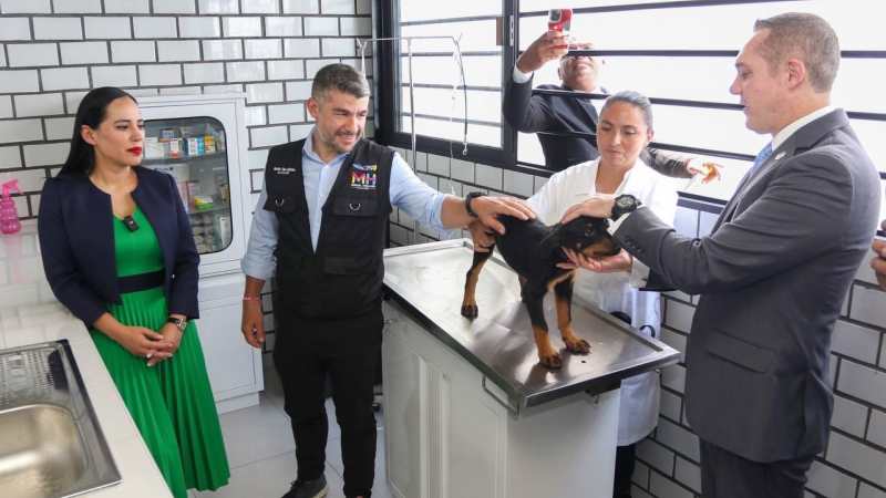 Inauguran hotel para perros y gatos abandonados en Cuauhtémoc