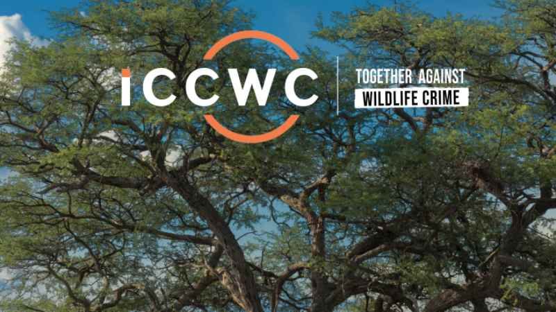 ICCWC da a conocer informe internacional sobre el combate contra la vida silvestre