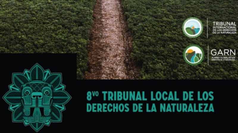 Tren Maya viola los derechos a la naturaleza: Tribunal Internacional de la Naturaleza