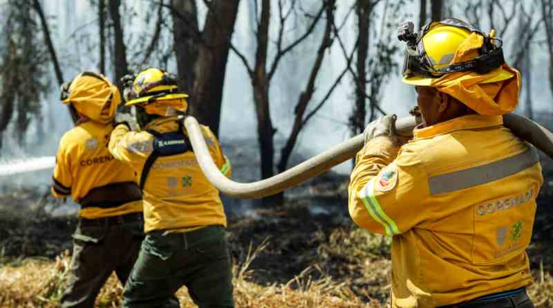 incendios forestales