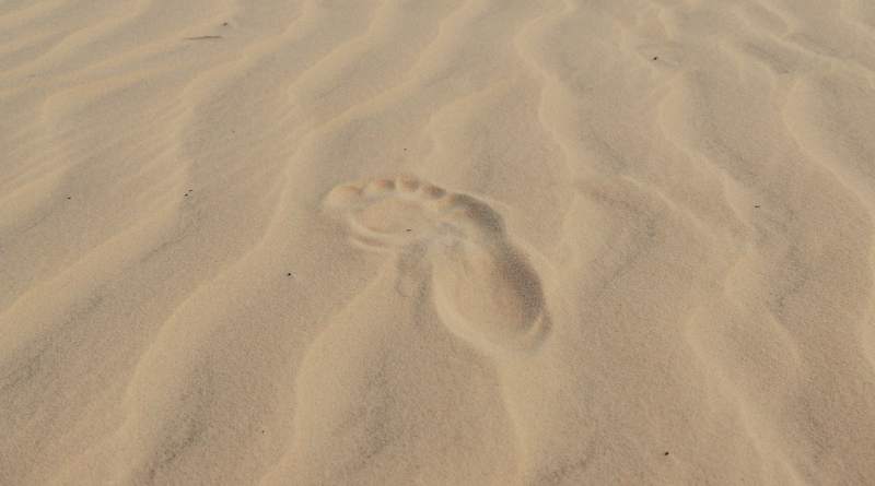 Marine Sand Watch: Se extraen 6 mil millones de toneladas de arena anualmente