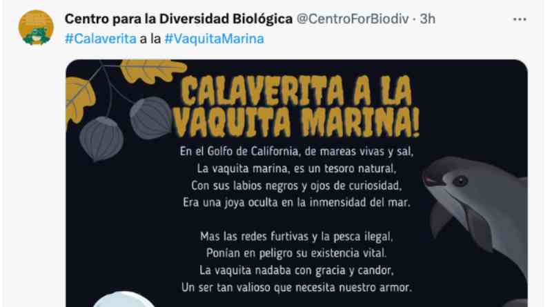 Dedica Centro para la Diversidad Biológica calaverita a la Vaquita Marina