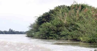 México ha perdido 62.1% de humedales: Oceana