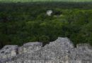 Crean México, Guatemala y Belice el Corredor Biocultural Gran Selva Maya