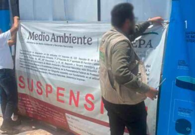 Clausura definitiva al delfinario Dolphinaris Barceló por maltrato a ejemplares marinos