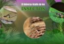Avispas parasitoides: aliadas invisibles en la agricultura sostenible