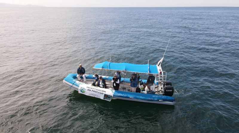 Organizaciones alertan sobre riesgos ecológicos del nuevo muelle en Bahía de Banderas