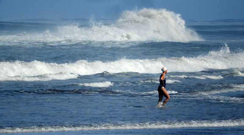 Tercer Nado por las Ballenas