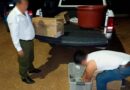 Aseguran más de 3 mil crías de tortuga hicotea en Chiapas