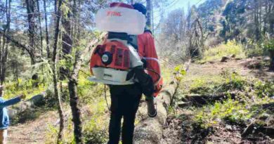 Conafor destina más de 10.4 MDP para combatir plaga en el Parque Nacional El Chico
