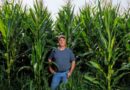 Inicia Qore producción de BDO verde a gran escala en Iowa