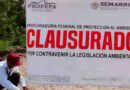 Clausura Profepa construcciones ilegales en dos predios de Tuxtla Gutiérrez