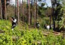 Posiciona Hidalgo su estrategia de integración de la biodiversidad