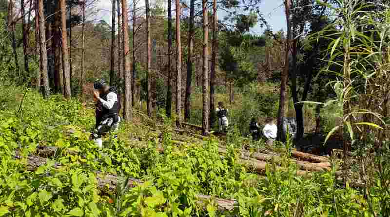 Posiciona Hidalgo su estrategia de integración de la biodiversidad