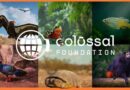 Colossal Foundation revivirá una especie endémica de México