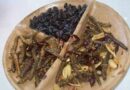 Investigan la larva de mariposa nocturna como posible recurso gastronómico