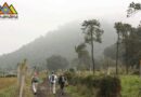 El turismo regenerativo: Más allá de lo sostenible 