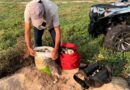 Recuperan autoridades más de mil huevos de tortuga en santuario de Oaxaca