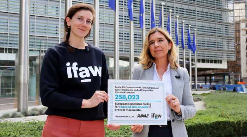 Exigen europeos reducir la velocidad de embarcaciones para proteger a las ballenas