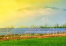 Impulsa Red Agrovoltaica Mexicana simposio sobre el futuro de la energía y la agricultura  Impulsa Red Agrovoltaica Mexicana simposio sobre el futuro de la energía y la agricultura
