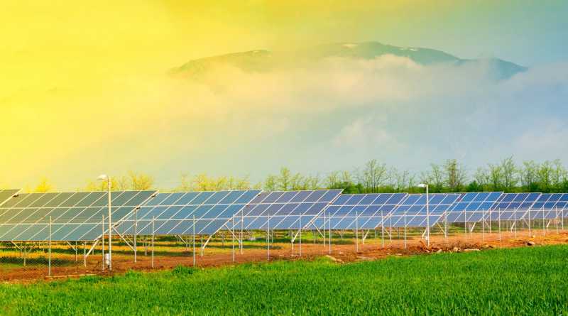Impulsa Red Agrovoltaica Mexicana simposio sobre el futuro de la energía y la agricultura