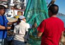 Profepa verifica DETs en embarcaciones camaroneras de Campeche