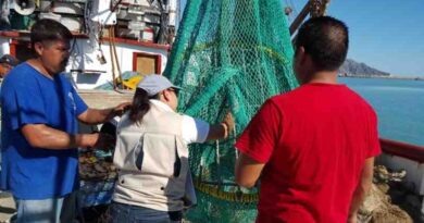 Profepa verifica DETs en embarcaciones camaroneras de Campeche Profepa verifica DETs en embarcaciones camaroneras de Campeche