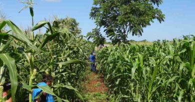 Impulsa Conanp la conservación de agrobiodiversidad