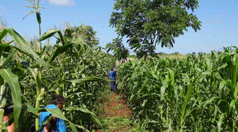 Impulsa Conanp la conservación de agrobiodiversidad