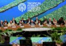Anuncian compromiso de 5.5 MMD para el Fondo Bosques Tropicales para Siempre