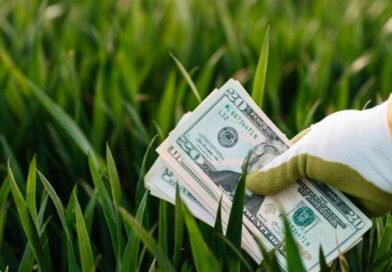 Economía Verde crecerá $7 Billones de USD para 2030: FEM