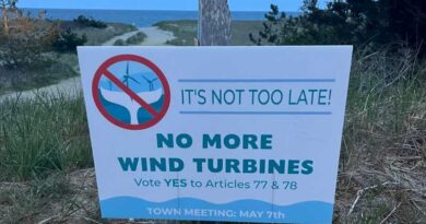 Demanda ACK for Whales a EE. UU. por violaciones legales del proyecto eólico marino