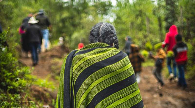 Presenta CONAFOR ganadores del Concurso de Fotografía Forestal 2025